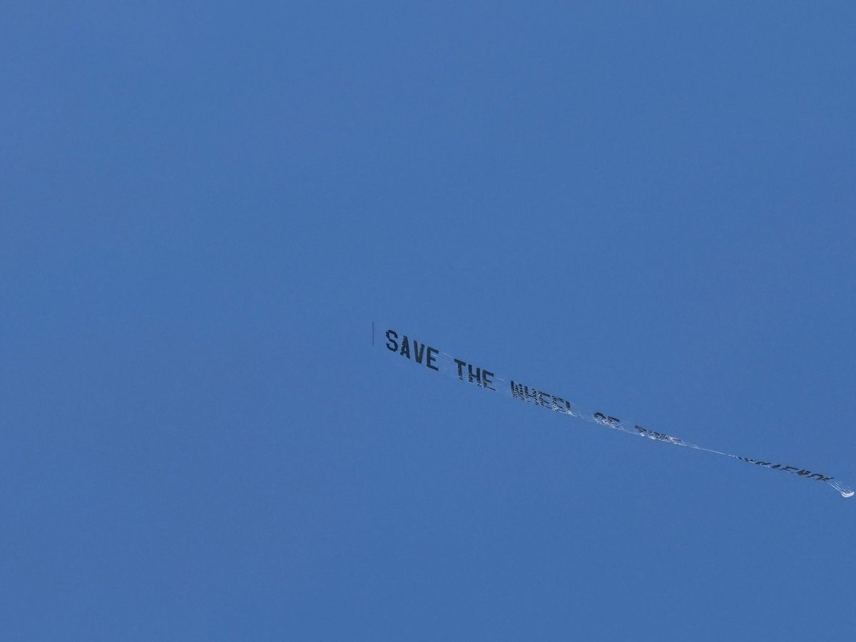 sarahenakamura's tweet image. Well #TwitterOfTime! They are hearing and seeing us 💙 I just got this picture sent to me from someone inside the Amazon offices! This is why I love this community so much. We’re gloriously alive today!! #SaveTheWheelOfTime