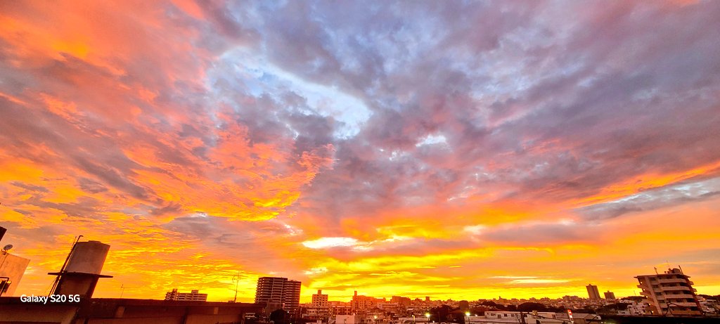 おはようございます🌅