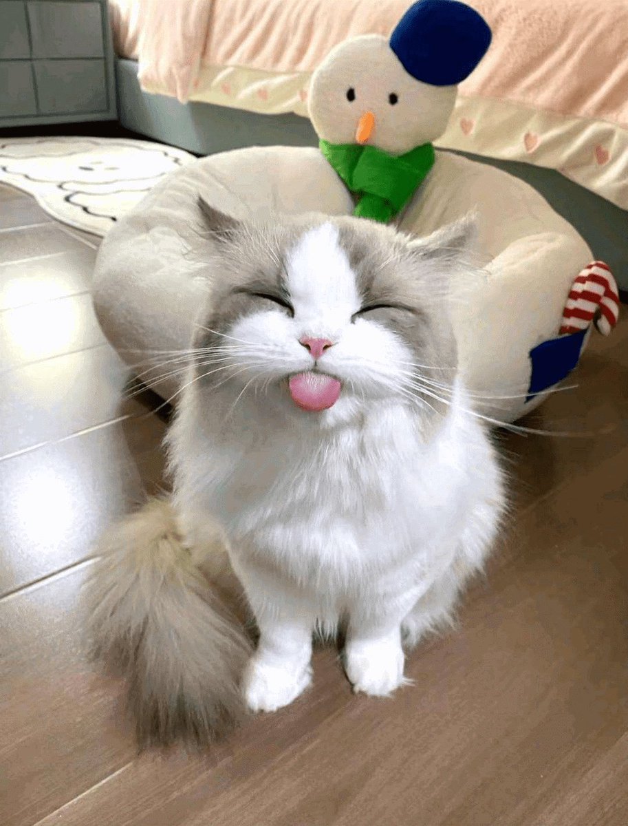 nova_fizzy's tweet photo. @T2G_Valorant @axymmetry @melouufps @IanIsDum_ @EmmyExists @catscura @jf_ooze @peachesVAL_ >:) https://t.co/XB05SChdE7