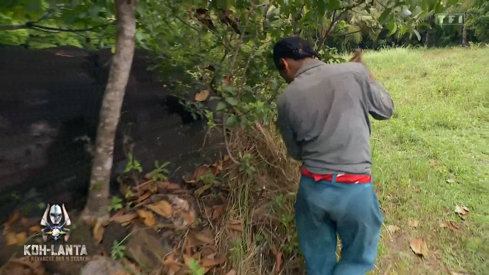 🐆XDvidTB tweet media