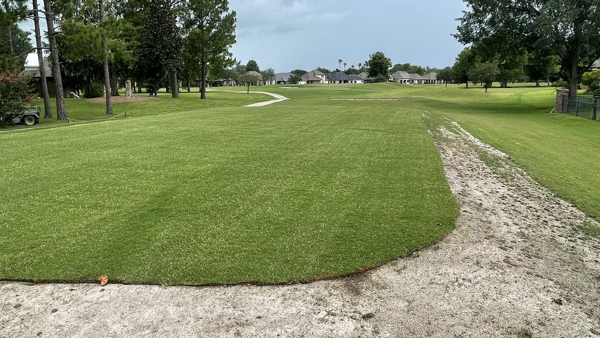 Nathan Crace, ASGCA, PLA (@lipouts) on Twitter photo Checking-in today on 5 and 7 day-old <a href="/PlatinumTE/">Platinum TE Paspalum</a> paspalum sprigs on the greens at Pelican Point Golf & CC in south Louisiana. Recents rains have the Platinum sodded collars glowing and the roots on the sprigs are impressive! Platinum sod on newly-leveled/expanded par-3 tees too! Checking-in today on 5 and 7 day-old <a href="/PlatinumTE/">Platinum TE Paspalum</a> paspalum sprigs on the greens at Pelican Point Golf & CC in south Louisiana. Recents rains have the Platinum sodded collars glowing and the roots on the sprigs are impressive! Platinum sod on newly-leveled/expanded par-3 tees too!