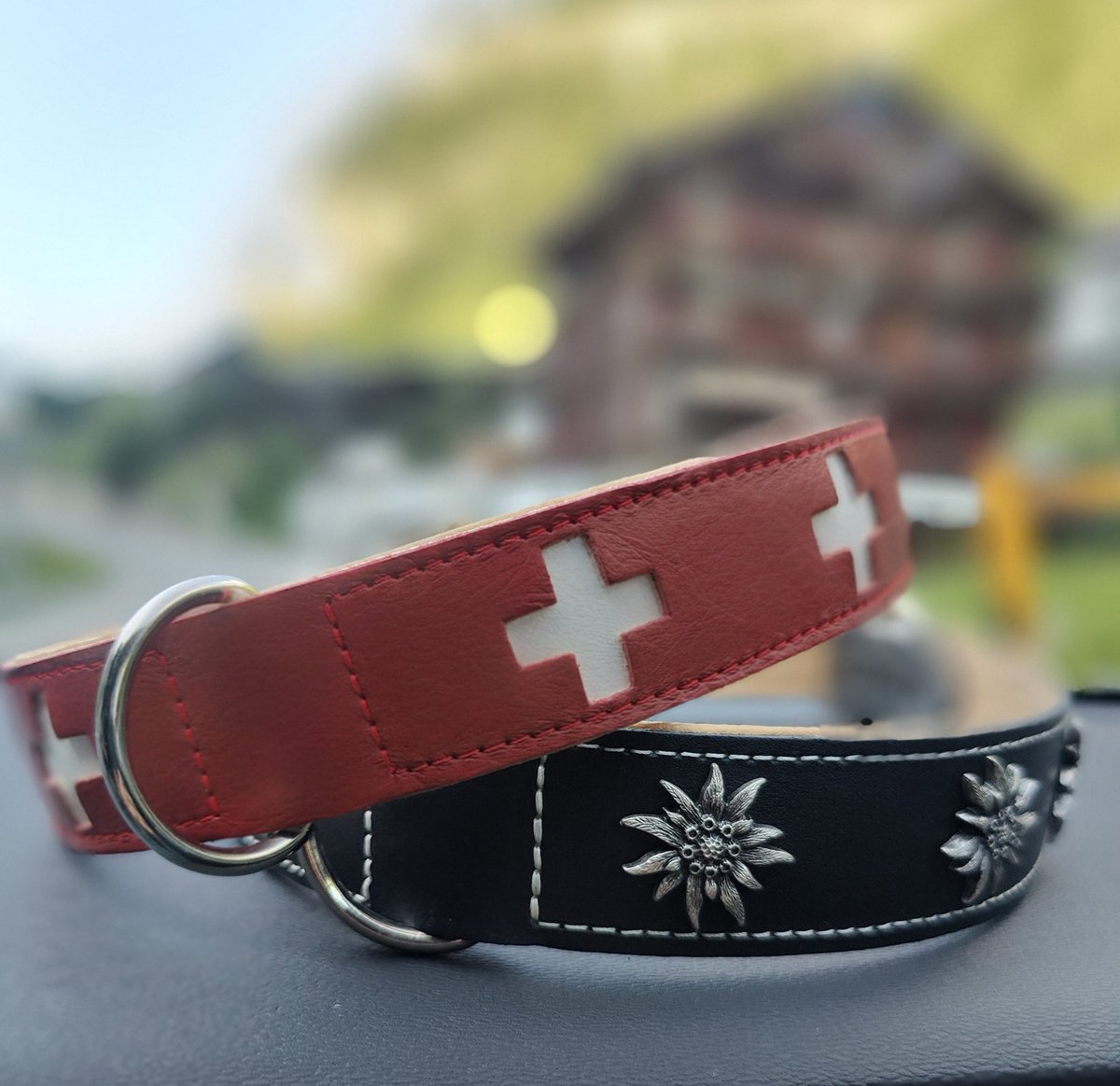 Mum was back in 🇨🇭 on holidays whilst we were playing with our buddies. She bought us new collars 🤩🤩 standby for pictures tomorrow 🐕💕🐕