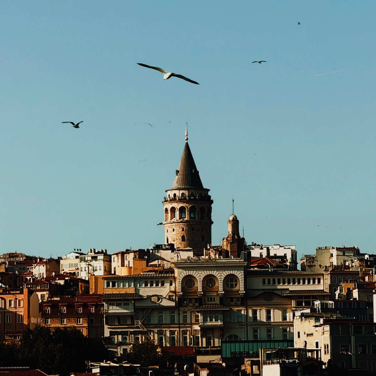 Eminönü’nden Galata Kulesi seyri ✨