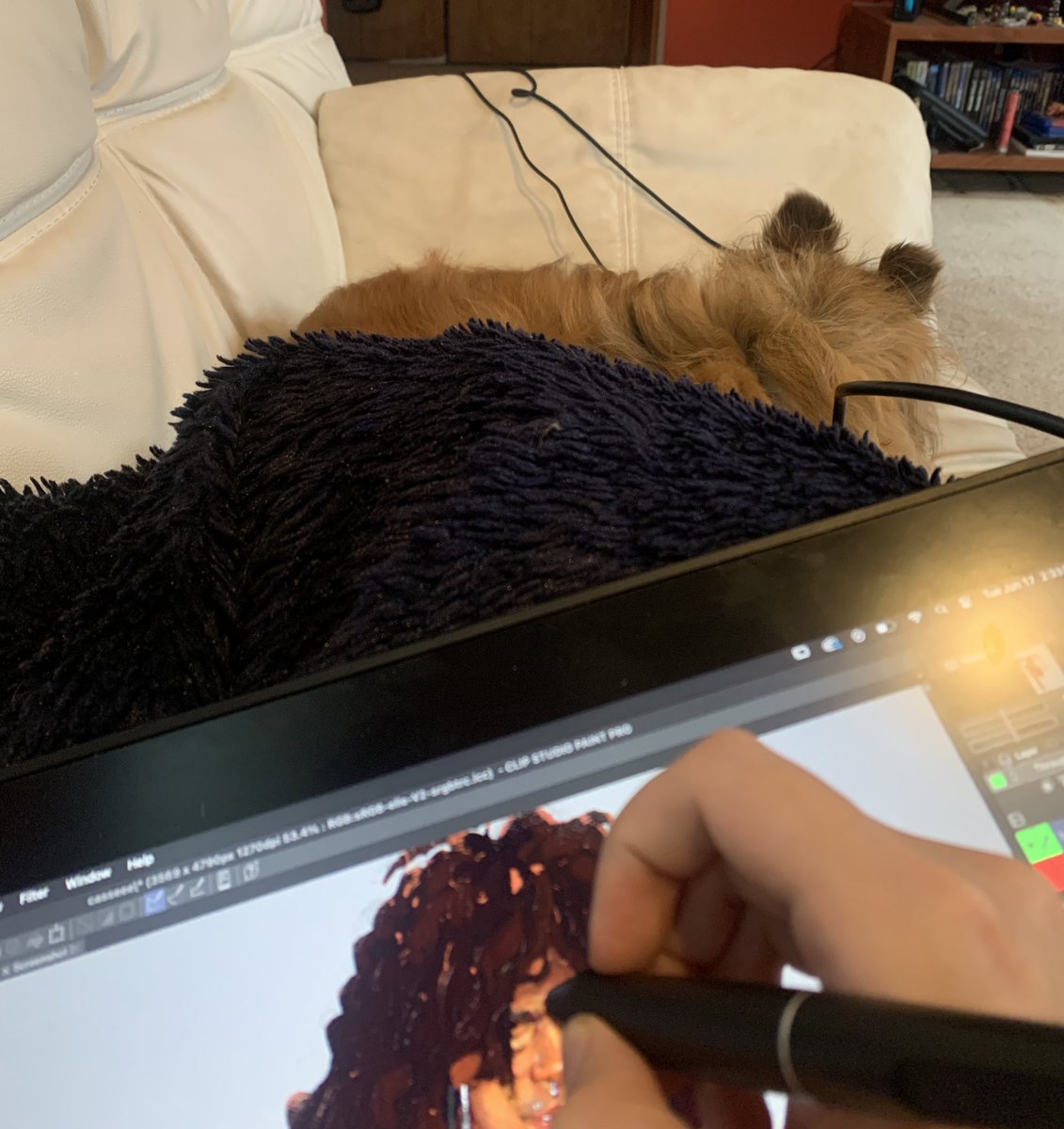 drawing buddy