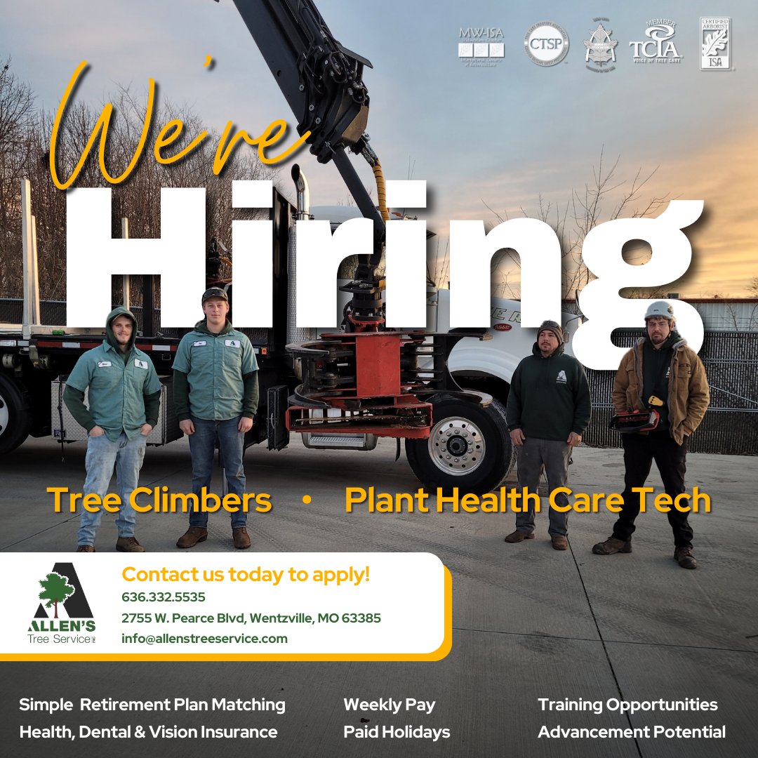 Allenstree's tweet photo. #NowHiring #OutdoorJobs #Jobs #StCharlesMO #StLouisMO #WentzvilleMO #TreeCare #TreeJobs #TreeService https://t.co/t5aT7rIA7B