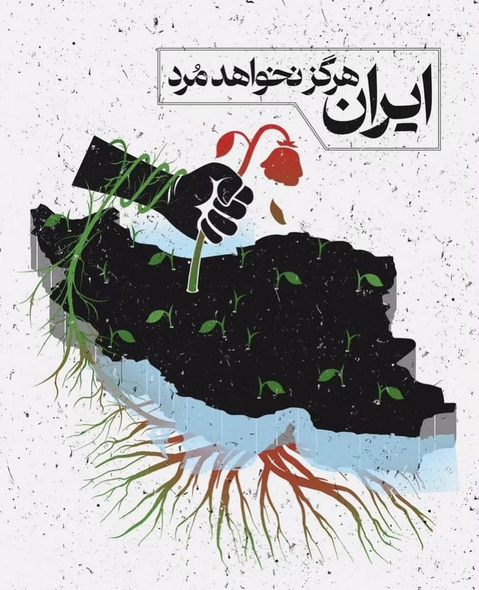 Like many of you, I’m emotionally and physically drained. Iranians have endured years of oppression—and now, war. Even from afar, I feel the weight of it all, and I carry the guilt of being safe while others suffer. 😭

May God bring peace and brighter days to our nation.