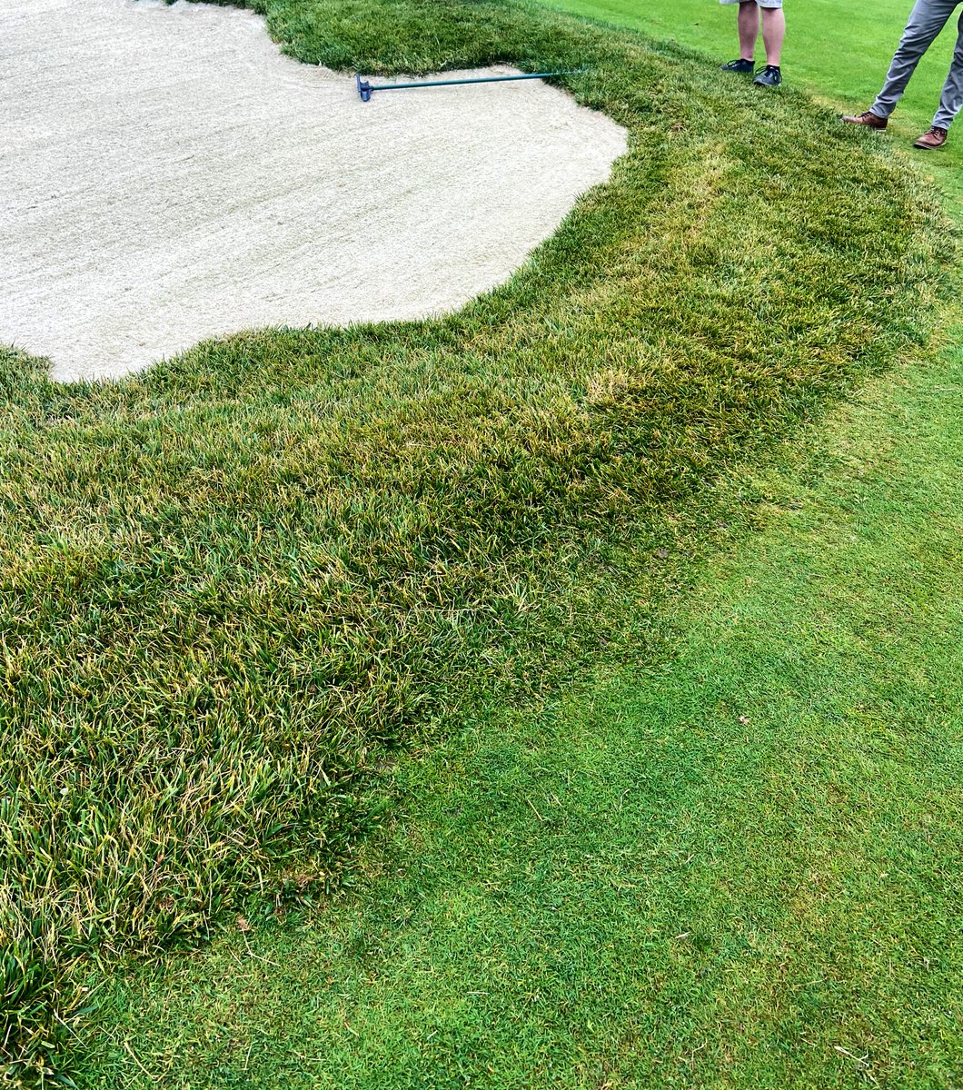 Paul Giordano tweet media