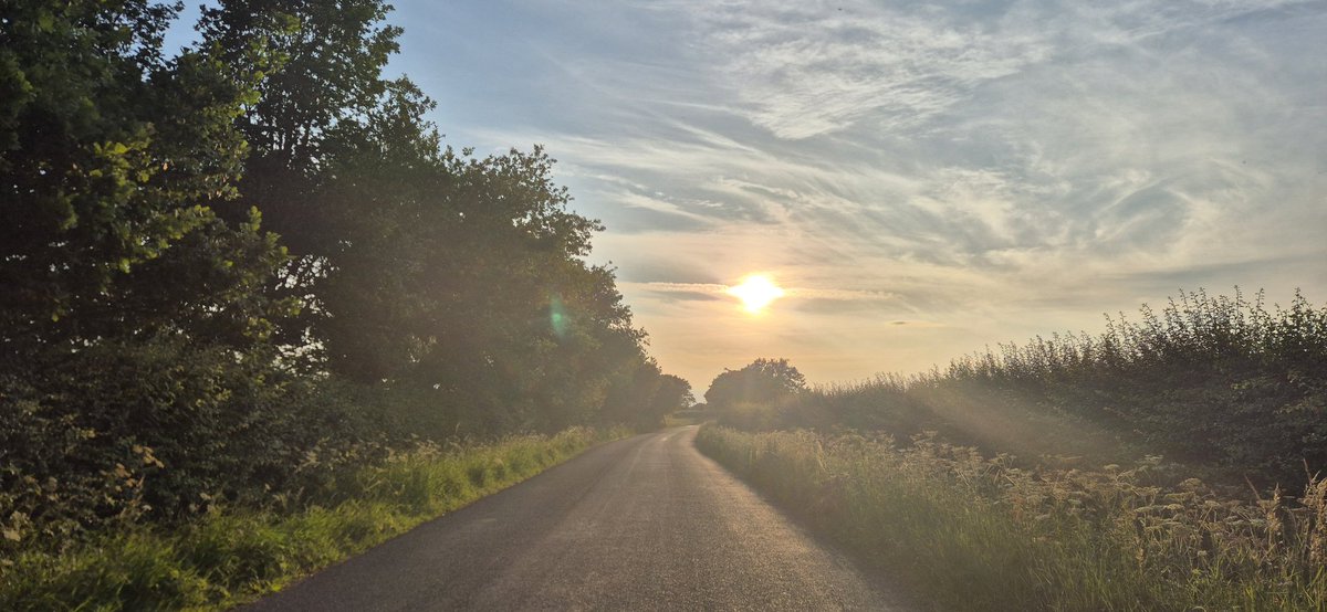 Tuesday evening miles (no filter!)🤩👟