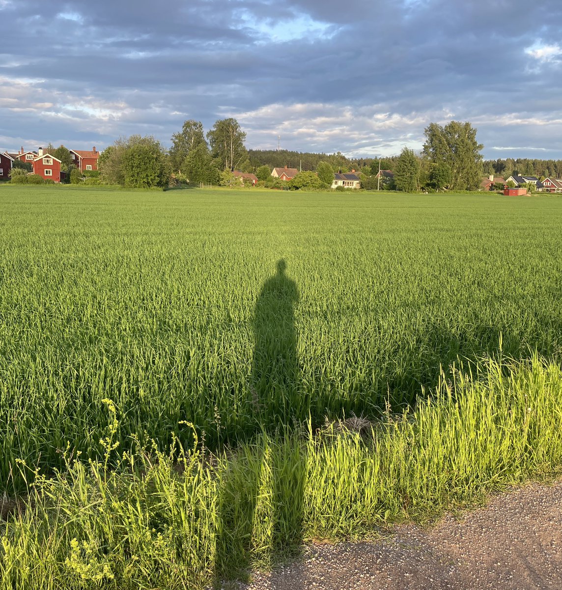 Ibland glömmer jag bort att vi bor  i paradiset…och att jag har så långa ben😅😀🤣