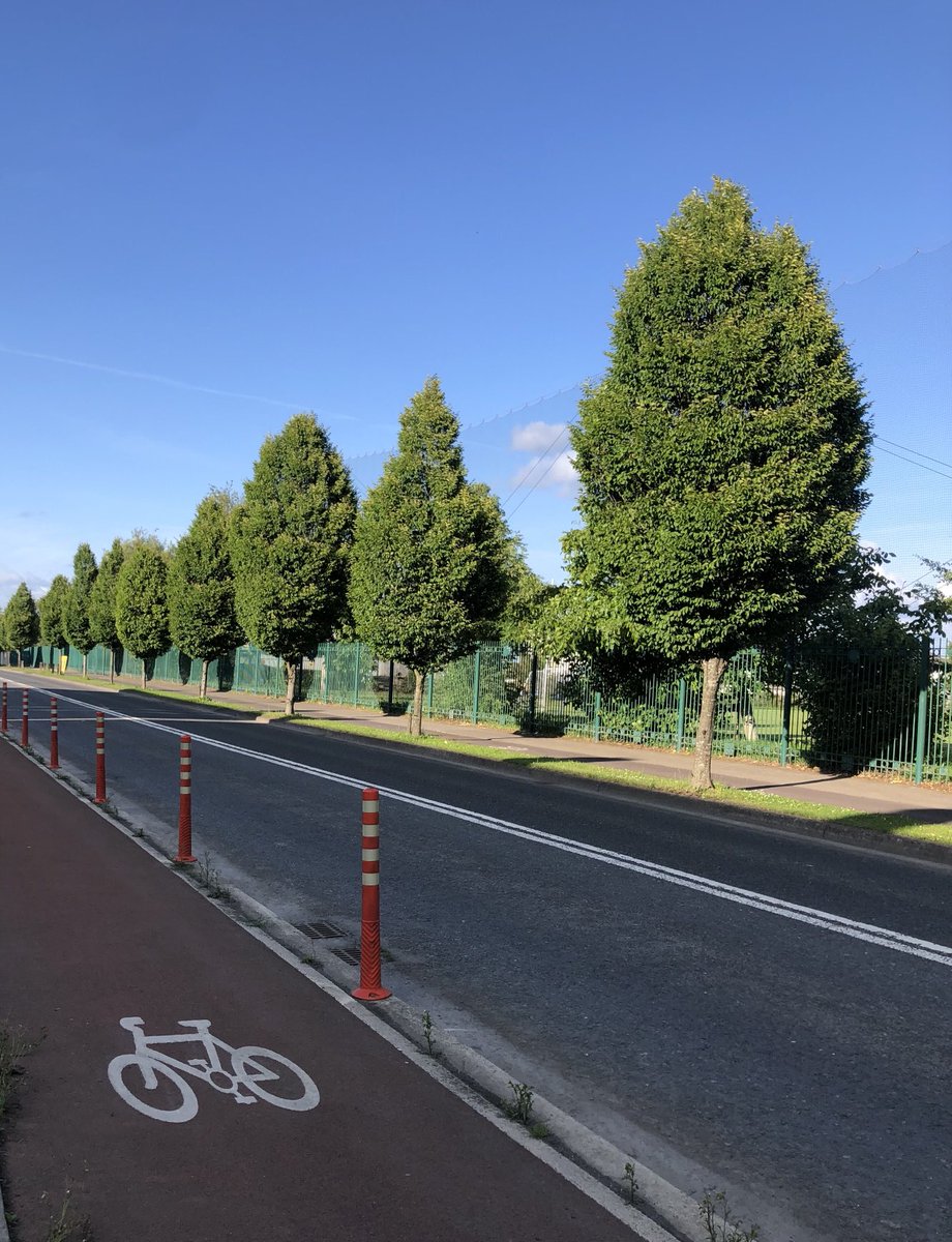 Denise Connolly Geraghty tweet media