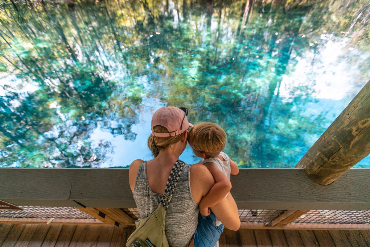 FLStateParks's tweet image. Florida State Parks and the Florida Prepaid College Savings Program are teaming up once again! 🎓🌳
To inspire families to get outdoors, discover nature and prepare for the future, we’ve launched the Exploring Education Sweepstakes for children in eighth grade or under.
This…