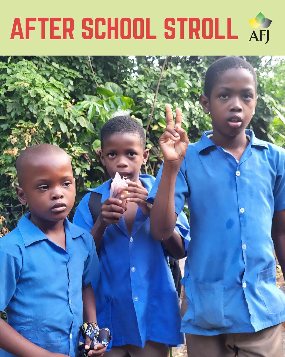 A nostalgic treat for many, bag juice is a beloved part of Jamaican childhood. As we celebrate our culture, let's also guide our children towards healthier choices that nourish their bodies and minds. See bit.ly/3GE3KFr to support the AFJ Youth Nutrition Fund.
#jamaica