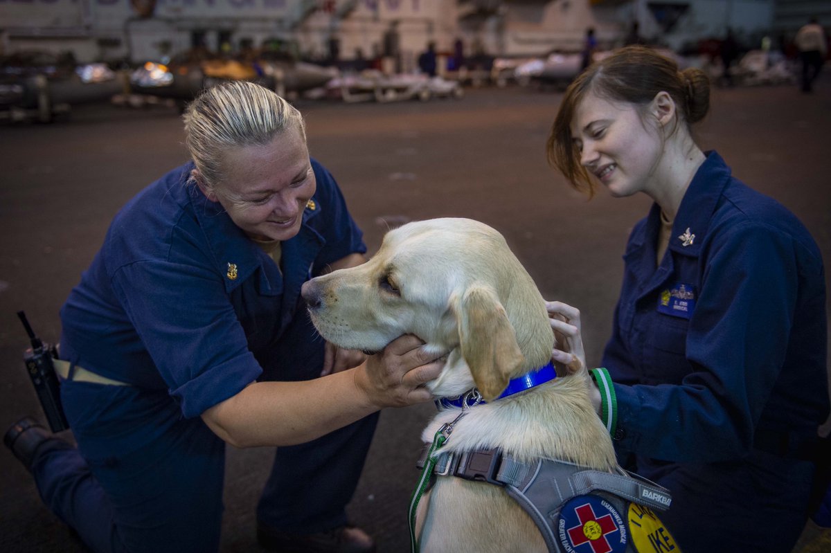 Happy Birthday Navy Hospital Corps! 

For the past 127 years, the Navy Hospital Corps has used their medical expertise and drive to help others to make life changing impacts on countless people throughout the world.

 #IKECarrierStrikeGroup #AmericasNavy250 #NavyMedicine