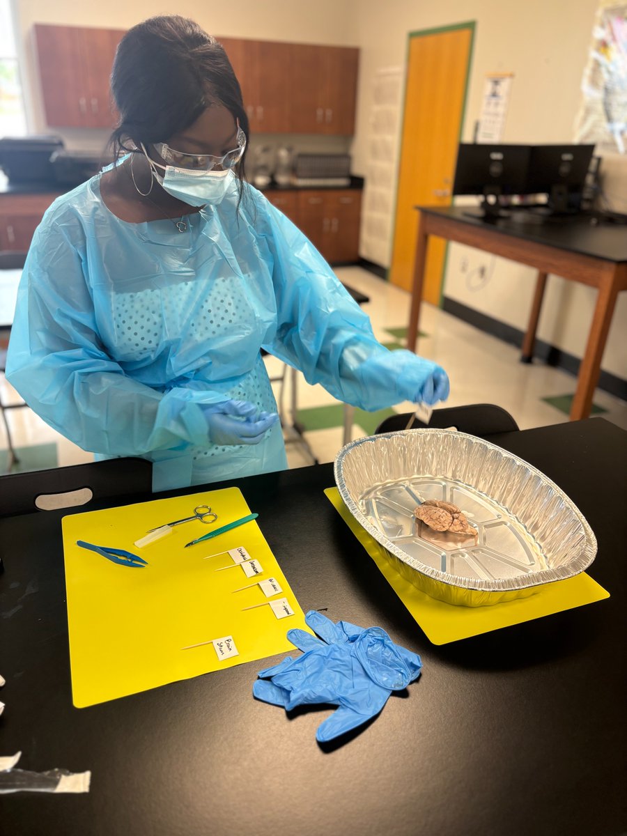 Day two of our CTE Health Career Promotion summer camp was a big success! From dissected brains to candy modeling, these students are having a great time.

#BrunswickBuilt #CTEforNC #CareerTechnicalEducation