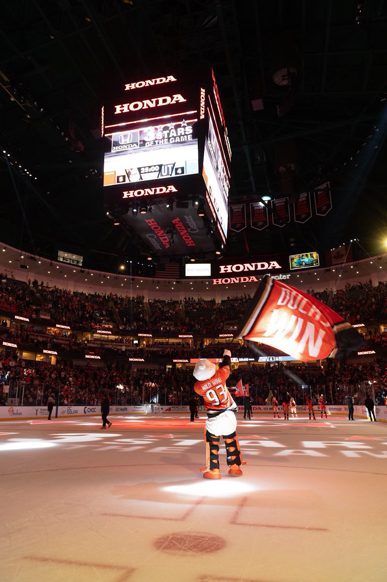 WildWingANA's tweet photo. Today is National Mascot Day so naturally it’s all about me but I want to make it all about YOU! Reply with your photos with me and I’ll share them 🤝🦆

@AnaheimDucks #FlyTogether https://t.co/8eOF9IH4wF