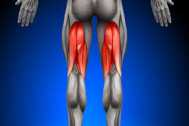 Boskovic Br 🇧🇷 tweet media