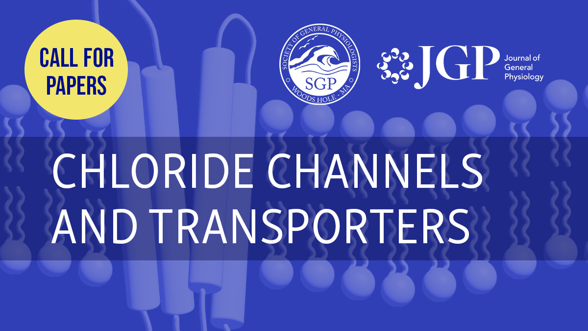 JGenPhysiol's tweet image. 📣#CallForPapers on the topic of @sgpweb’s 2025 Symposium “Tracing the Path of Chloride: from Ion Channels and Transporters to Physiology &amp;amp; Therapeutics” (hubs.la/Q039qcYs0) Learn more and submit your research 👉 hubs.la/Q039qd-X0