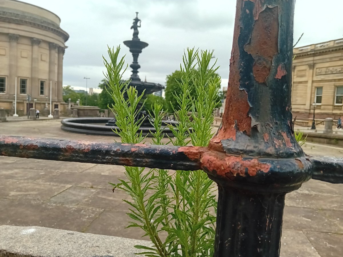 Boldness &amp; ambition ( well, basic maintenance) is desperately needed in our vaunted "cultural quarter." Austerity, other priorities - we get that. But this degradation of a key civic space is depressing. The sheer can't-be-arsedness of it.