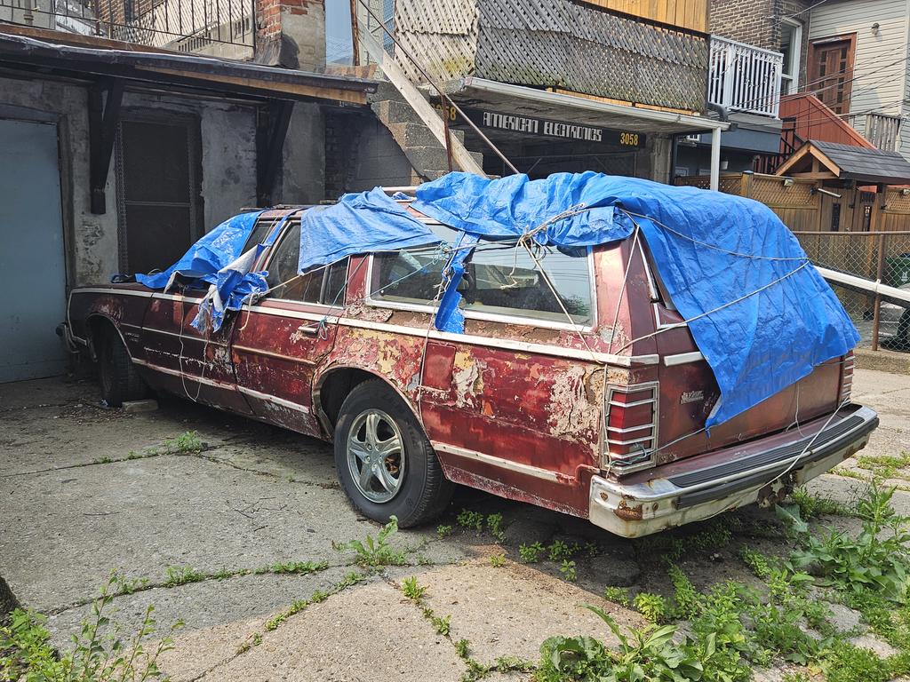 Spotted this Pontiac station wagon in a Junction alleyway.  She's a beauty!