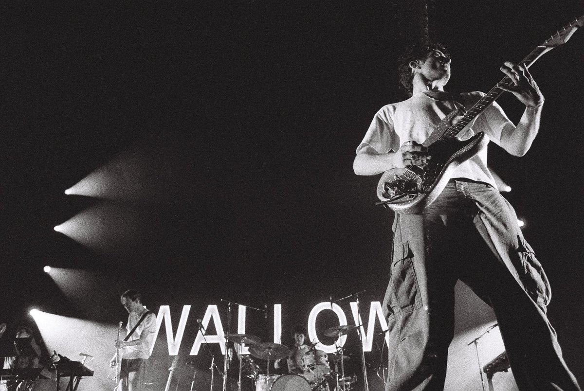 Wallows tweet media