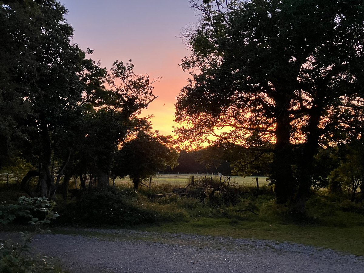 Felsted CCF tweet media