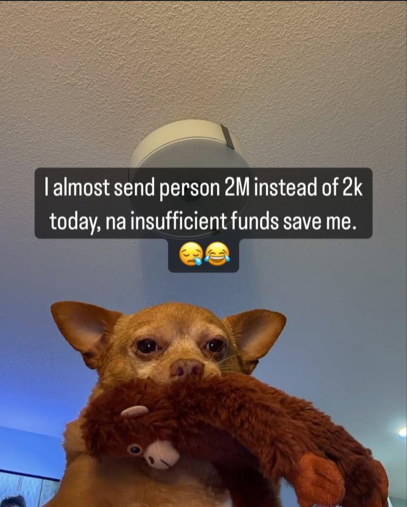 EstherumoU's tweet photo. Insufficient funds don turn guardian angel 😭😭
I for just dash person 2 million by mistake today 😂
Make I manage my low balance in peace abeg 💀💸
#GodAbeg #NaMistakeWeyForCostMe #fyp #Trending #explore #BenueIsBleeding #BenueLivesMatters #BenueUnderAttack #MoneyMistake https://t.co/G7fwX8TqdZ