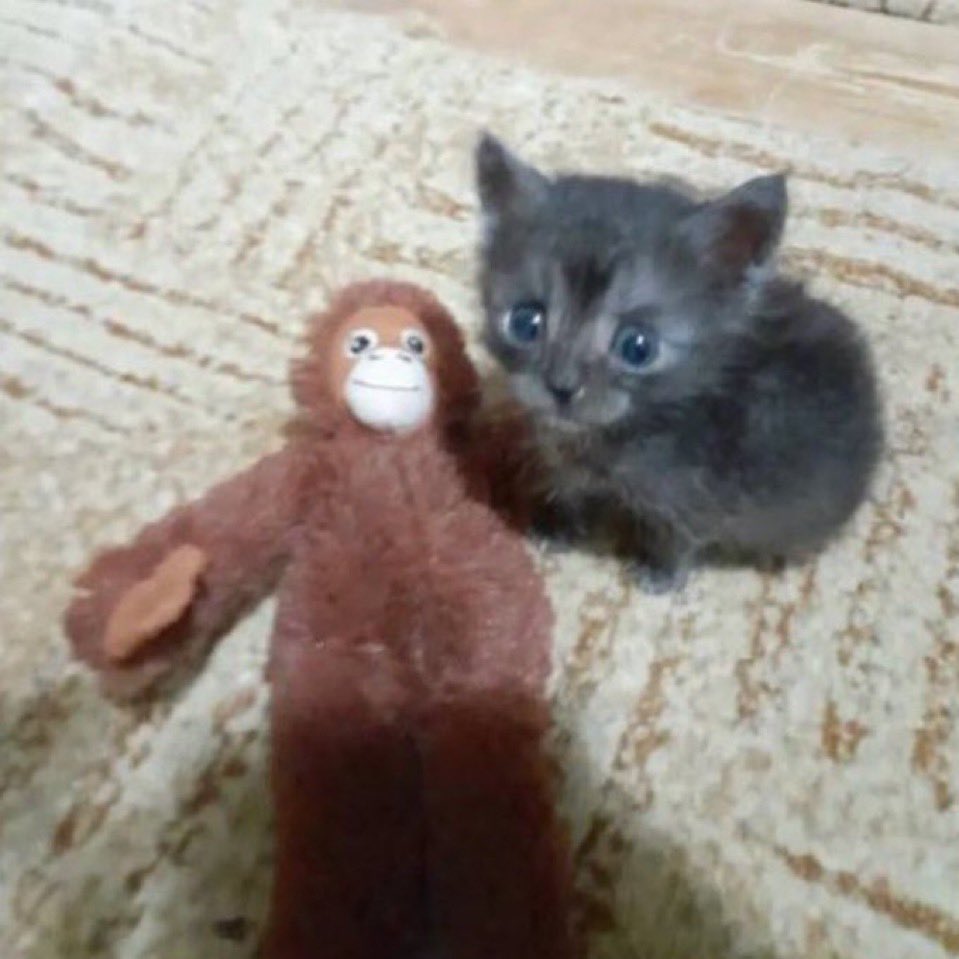 rare pic of me and <a href="/Tman_Val/">Tristan</a>