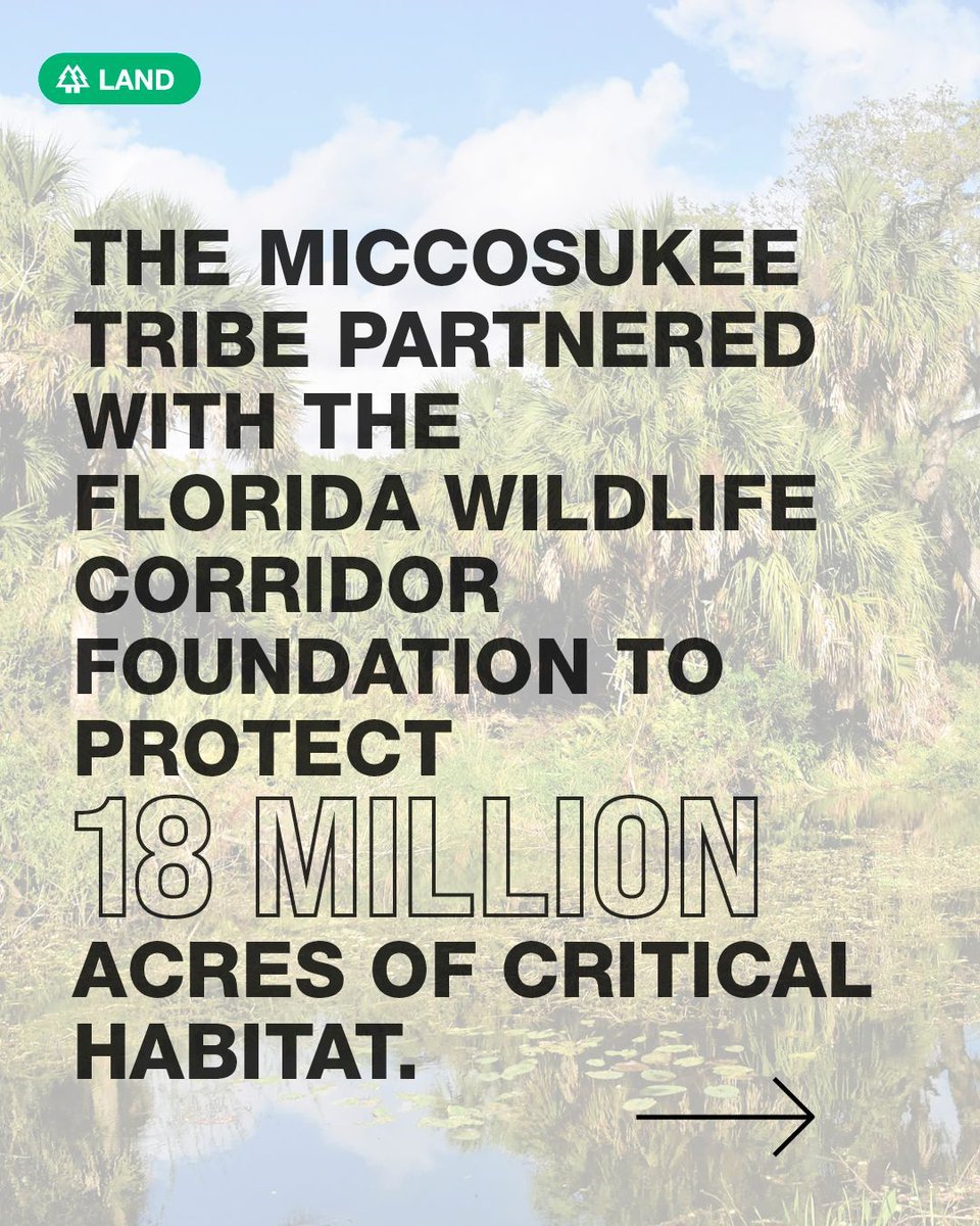 RIPPLE of CHANGE tweet media