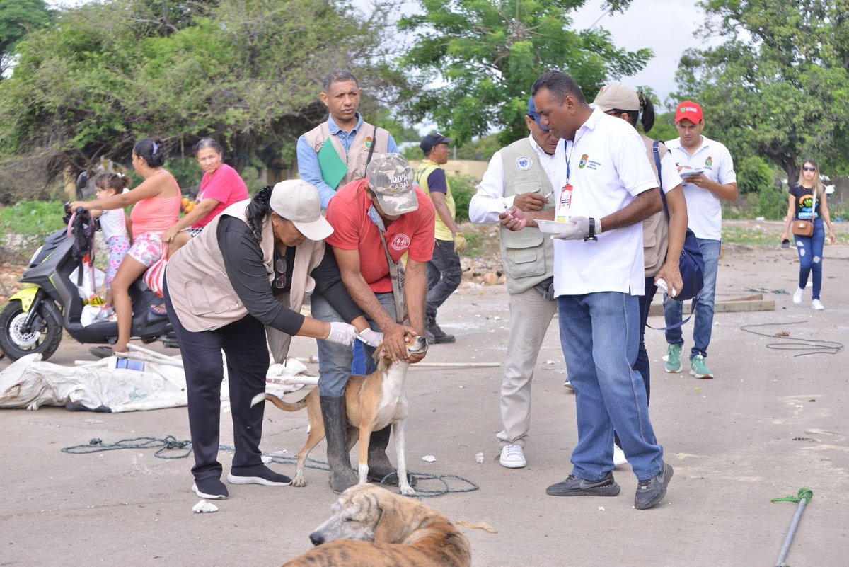 #Caribe | Autoridades en Valledupar protegieron a más de 80 animales durante una diligencia de recuperación de predio en la capital del Cesar. Las secretarías General y de Gobierno adelantaron acciones para salvaguardar la integridad de cada especie. De igual forma, la Secretaría
