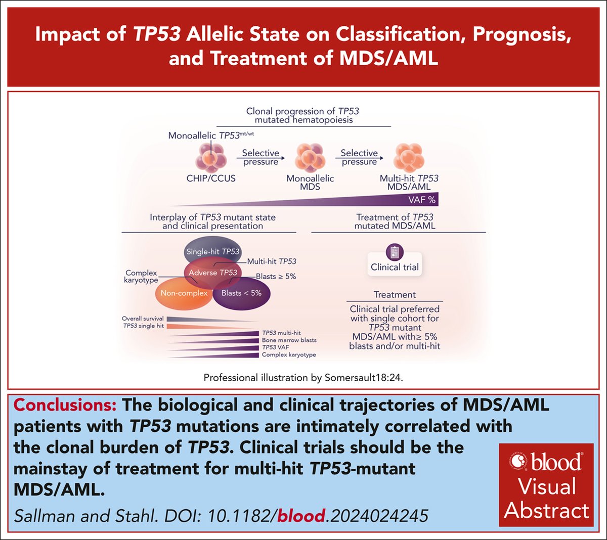 TP53-mutated acute myeloid leukemia and myelodysplastic syndrome are now well established as their own unique diagnostic entity, characterized by an exceptionally poor prognosis and inadequate therapeutic options. ow.ly/XMBu50WagUw #BloodSpotlight #myeloidneoplasia