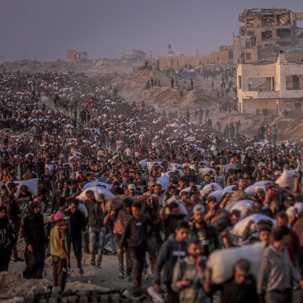 🔥 Post – Wake-the-World Style:

> This is not a photo from a history book.
This is not a movie scene.

This is Gaza. Now.
Thousands walking for a sack of flour—
hungry, bombed, exhausted.

Be human. Be present.
Donate. Now.
chuffed.org/project/122168…