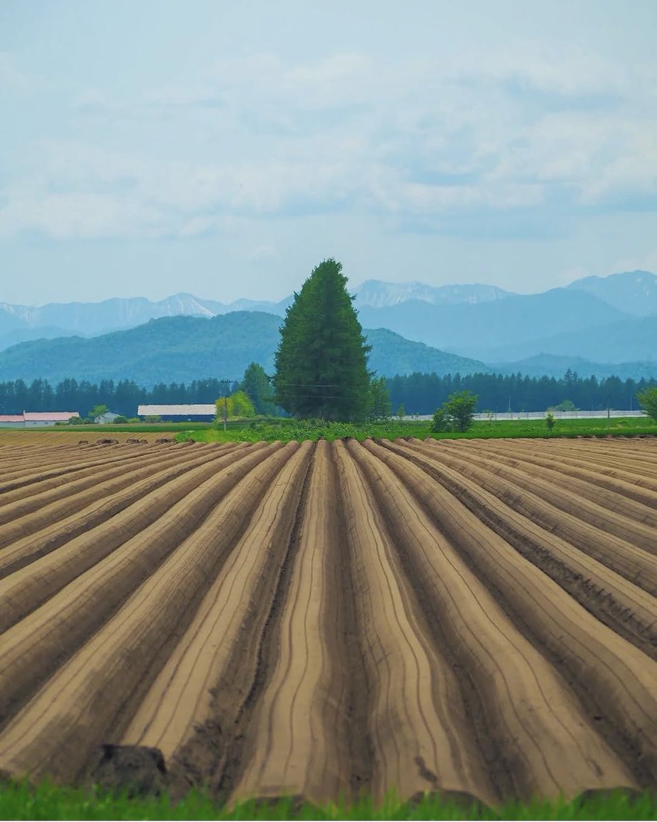 Өглөөний мэнд ❤️амжилт 🫰