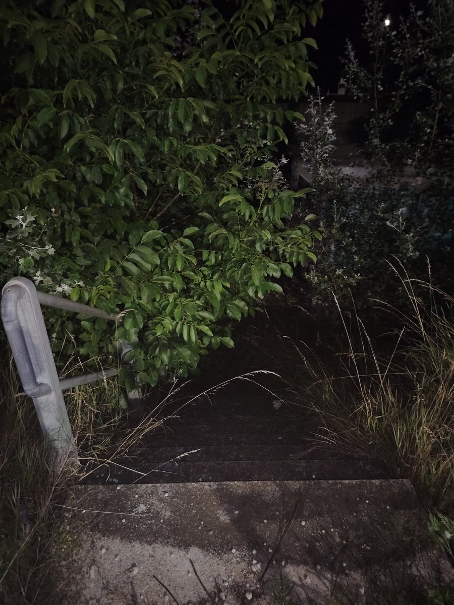 Geh mein Weg auch when kein Licht am Ende