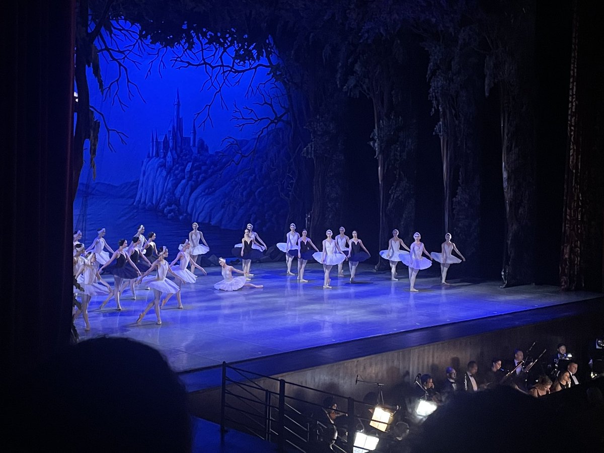 rhinantheae's tweet photo. Orchestra &amp;swan lake https://t.co/O2nptvRbyD