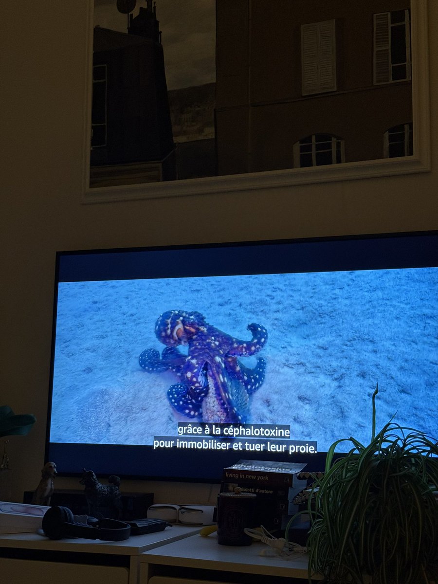 ema stokholma tweet media