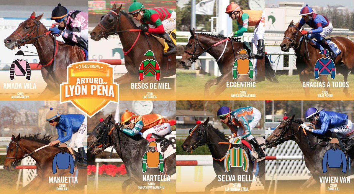 🏆👀 Conoce a las 8️⃣ participantes del clásico Arturo Lyon Peña (Grupo 1) que se correrá este viernes en el Club Hípico.

¿Cual es tu favorita?