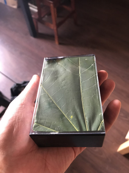 ཀི་ཀི་བསྭོ་བསྭོ་ལྷ་རྒྱལ་ལོ། (@neurogeist) on Twitter photo 