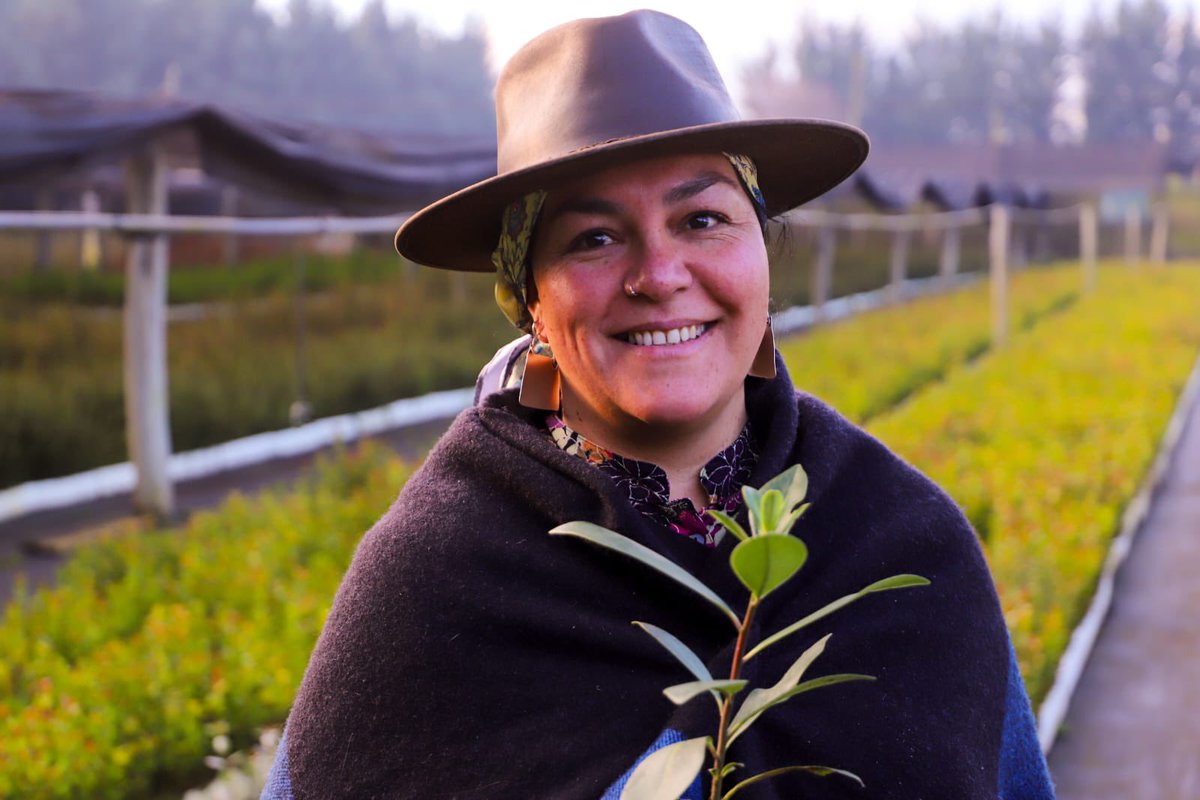 Ministerio de Agricultura de Chile 🇨🇱 (@minagricl) on Twitter photo 🌱🌳 El ministro de Agricultura, Esteban Valenzuela, participó en la ceremonia de entrega de plantas nativas a la Asociación de Comunidades Mapuche de Pitrufquén, en el marco del Programa de Arborización que ejecuta <a href="/conaf_minagri/">CONAF - Corporación Nacional Forestal</a> .
Esta iniciativa busca promover la restauración 🌱🌳 El ministro de Agricultura, Esteban Valenzuela, participó en la ceremonia de entrega de plantas nativas a la Asociación de Comunidades Mapuche de Pitrufquén, en el marco del Programa de Arborización que ejecuta <a href="/conaf_minagri/">CONAF - Corporación Nacional Forestal</a> .
Esta iniciativa busca promover la restauración