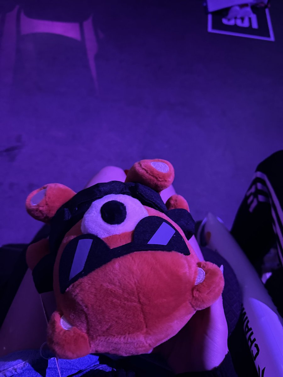 SpookyMari_'s tweet image. Tactic bear watching sen #VALORANTMasters