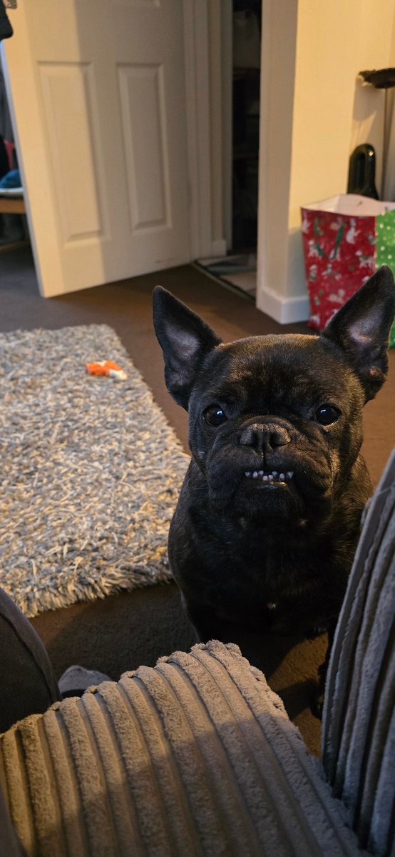 So so true ....dogs are the best . See <a href="/rickygervais/">Ricky Gervais</a> even bailey agrees