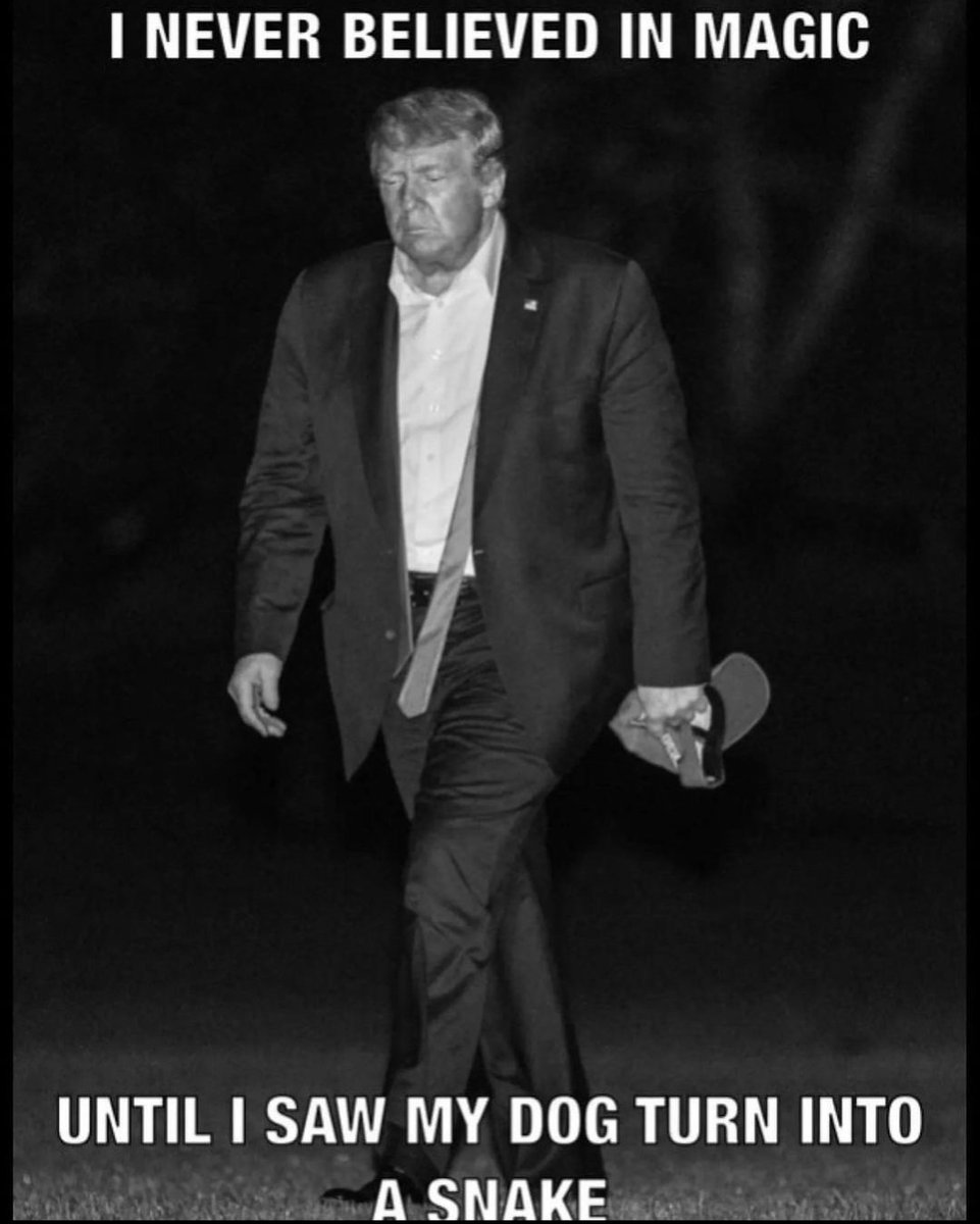 DONALD TRUMP just experienced the greatest backstabbing since Mike Pence. 

Do YOU still pray for his health and/or love furry porn? Hit LIKE!! 👍🏻🙏🏻🕊️