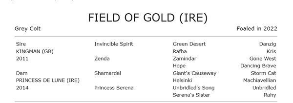 Kingman colt Field of Gold breathtaking in G1 St James's Palace victory, 530k purchase for Juddmonte as a foal breednet.com.au/news/39978/roy… <a href="/Goffs1866/">Goffs</a> <a href="/JuddmonteFarms/">Juddmonte</a>