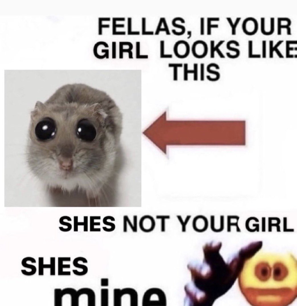 long live mouselors!!!! ✨🫶🏻🫧🤍🐭