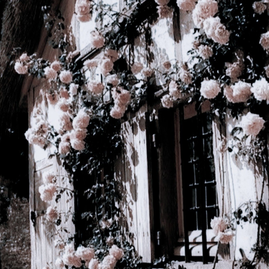 ⠀

⠀ ❛ they 𝘴𝘢𝘺 if you 𝘥𝘳𝘦𝘢𝘮 a 𝘵𝘩𝘪𝘯𝘨 more than 𝘰𝘯𝘤𝘦. ❜