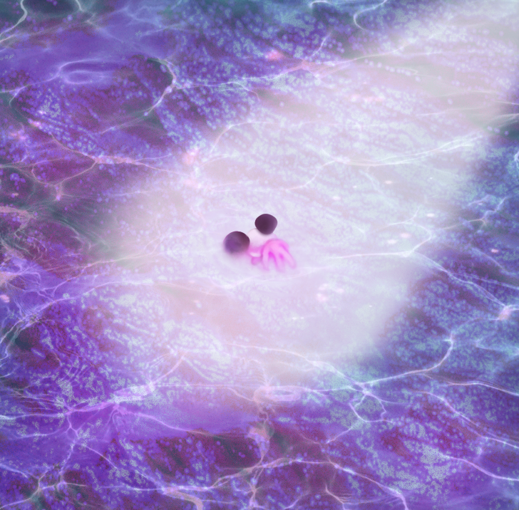 ApandahFollower's tweet image. &quot;He&quot; spawns.
