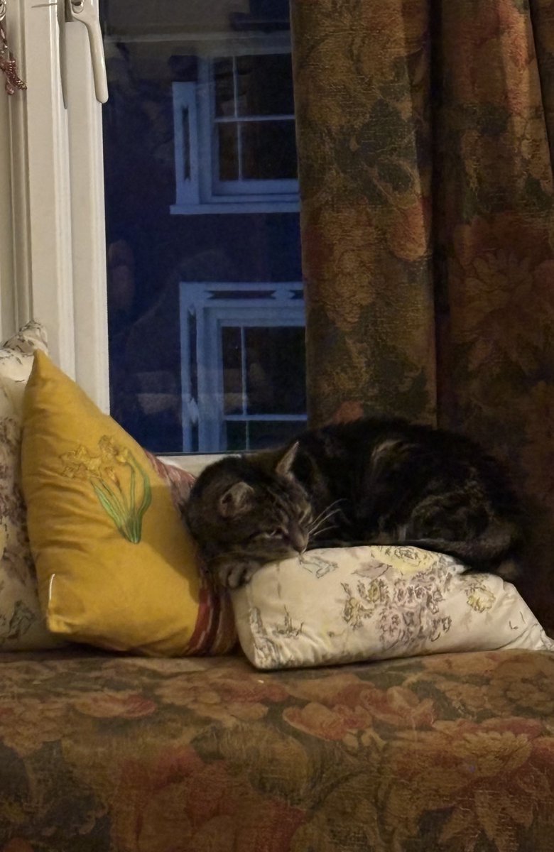 Nighty night - still watching you all.