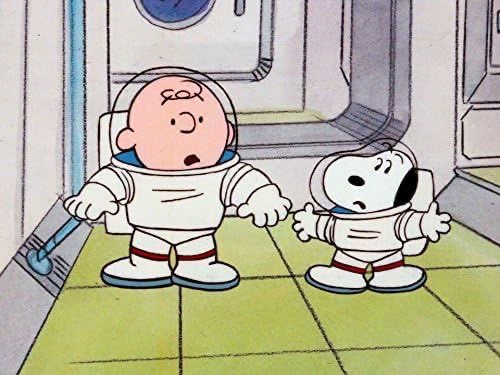 snoopy lover (@snoopyfever_) on Twitter photo 