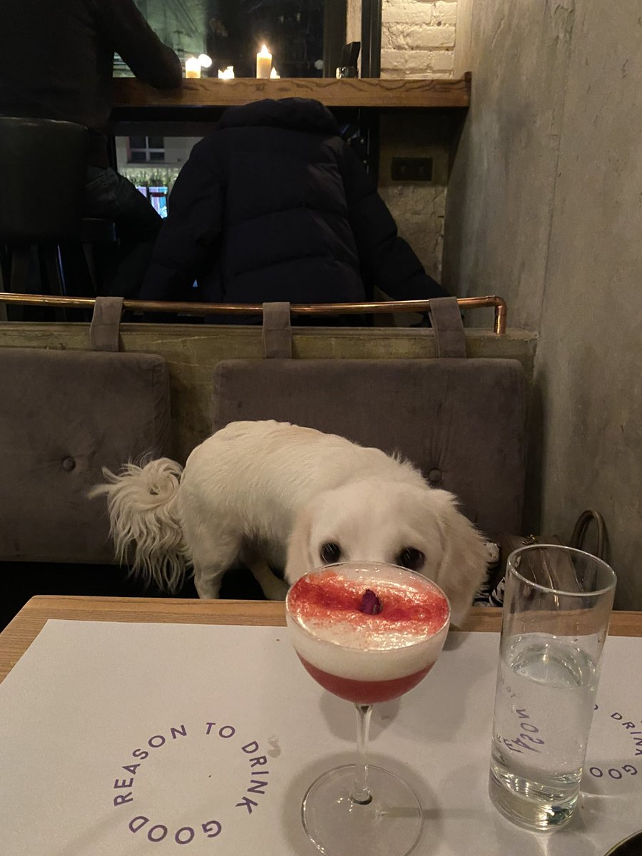 rachok olexandra • tweet media