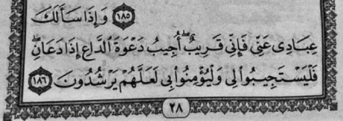 أوتِروا إن الله وترٌ يُحب الوتر "

لعل سجدة في آخر الليل تُضيء لك عمرًا