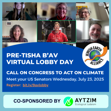 Aytzim's tweet photo. Aytzim invites you to join Jewish Earth Alliance's Pre-Tisha B'av Virtual Lobby Day on Wednesday, July 23, 2025. Advocate for climate solutions in a half-hour virtual meeting with your Senator or their staff. To learn more: https://t.co/h5CyQN3xmC…et-for-tisha-bav/@GreenZionism https://t.co/bViBvEtV0e